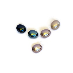 Perle seashell 15x13mm (5buc)