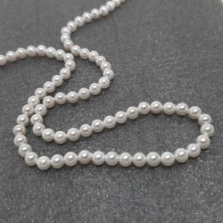 Perle seashell 4mm (38cm)