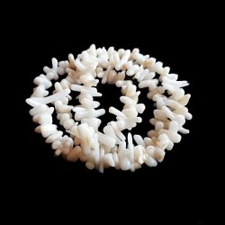 Coral bamboo tepi, alb 4-23x2-10mm (19cm)